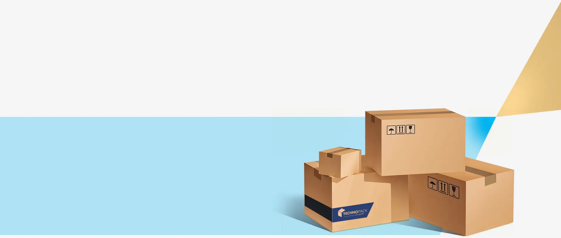 our Purpose & Vision